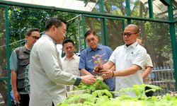 Pemkab Bandung Bersama BGN Gelar Panen Perdana Gertaman