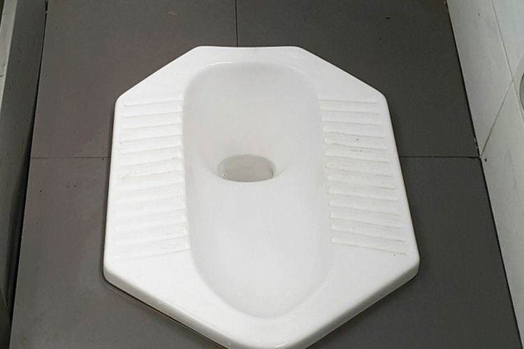 4 Cara Mudah Mengatasi Wc Mampet Halaman All - Kompas.com