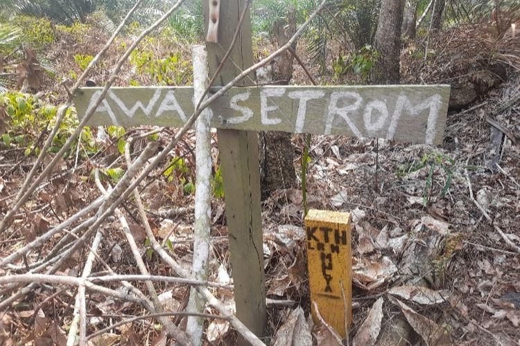 Kawasan konservasi (WCA) milik PT LAJ dipasangi pagar listrik sehingga ruang jelajah gajah menjadi sempit, Desa Pemayungan, Kecamatan Sumay, Kabupaten Tebo, Jambi