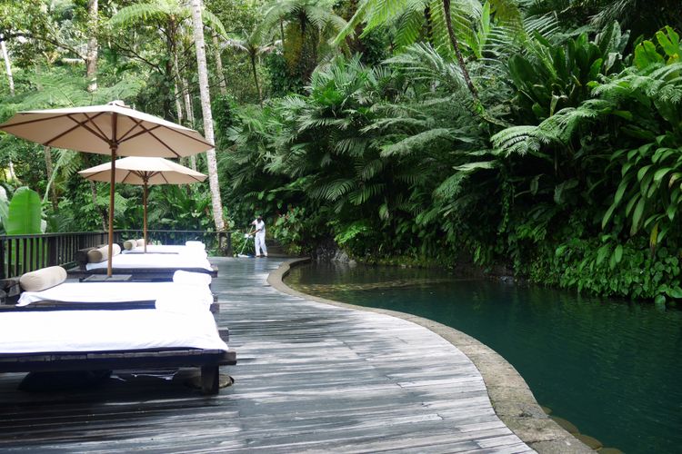 Kolam renang ditebing tengah hutan, salah satu fasilitas di Como Shambhala Estate Bali, Sabtu (16/12/2017).