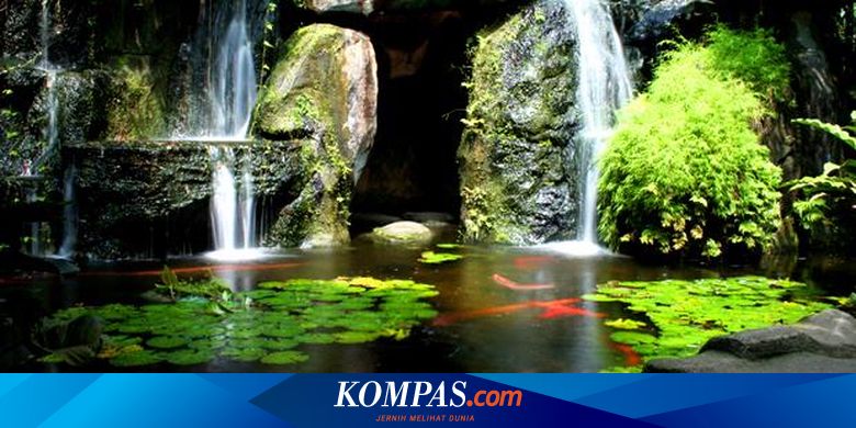 Empat Parameter Air Kolam Yang Sehat Halaman All Kompas Com