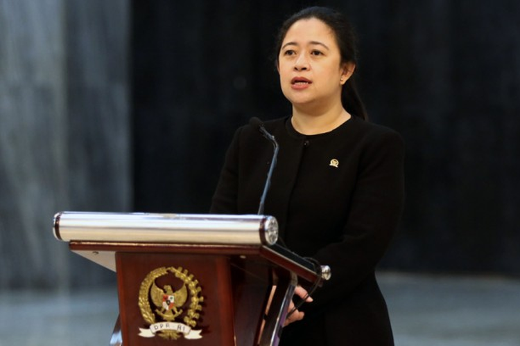 Ketua DPR RI Puan Maharani.