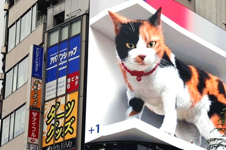 Kucing 3D di Reklame Tokyo iklan adalah
