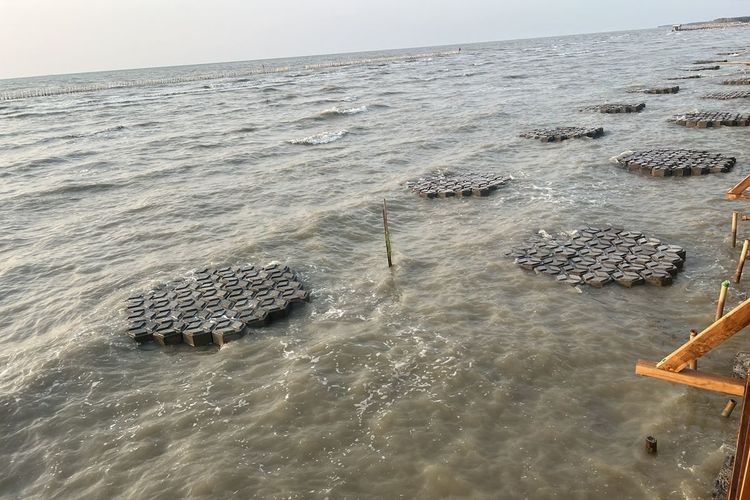 Cegah Demak Tenggelam, AHY Turun Tangan Tanam 200 Hektar Mangrove di Timbulsloko