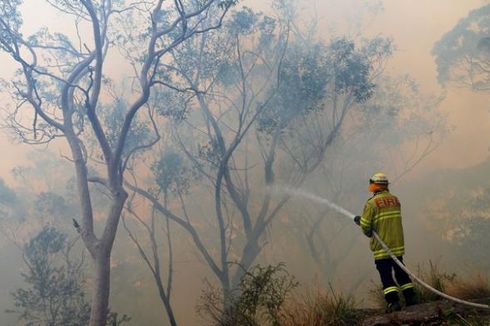 TNI Kirim Bantuan, Bagaimana Kondisi Terkini Kebakaran Hutan di Australia?