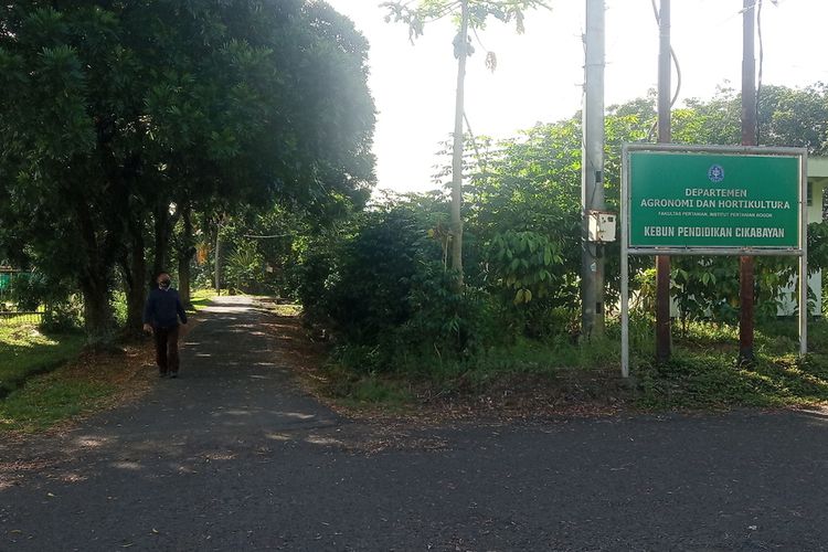 Lokasi ditemukannya mahasiswa Institut Pertanian Bogor (IPB) University yang tewas diduga karena gigitan ular mulai dipasangi garis polisi tepatnya di Kebun Percobaan Cikabayan Kampus IPB, Kecamatan Dramaga, Kabupaten Bogor, Jawa Barat, Kamis (18/11/2021).