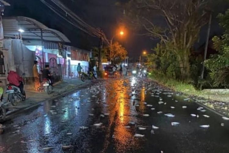 Jalan Mendadak Jadi Kolam, Ribuan Lele Tumpah di Pamekasan, Warga Evakuasi Pakai Ember
