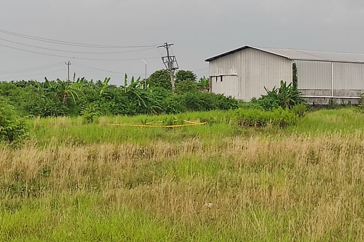 Lokasi penemuan mayat tanpa identitas dalam kondisi membusuk di area bekas sawah Jl Demak - Jepara, tepatnya Desa Mijen, Kecamatan Mijen, Kabupaten Demak, Kamis (7/3/2024). (KOMPAS.COM/NUR ZAIDI)