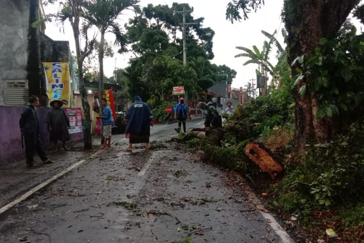 Petugas memotong pohon yang tumbang dan menutupi jalan.