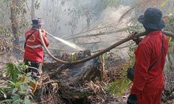 Usai BRGM Dibubarkan, 26.000 Hektar Gambut Terbakar, Siapa Kini yang Bertanggung Jawab?