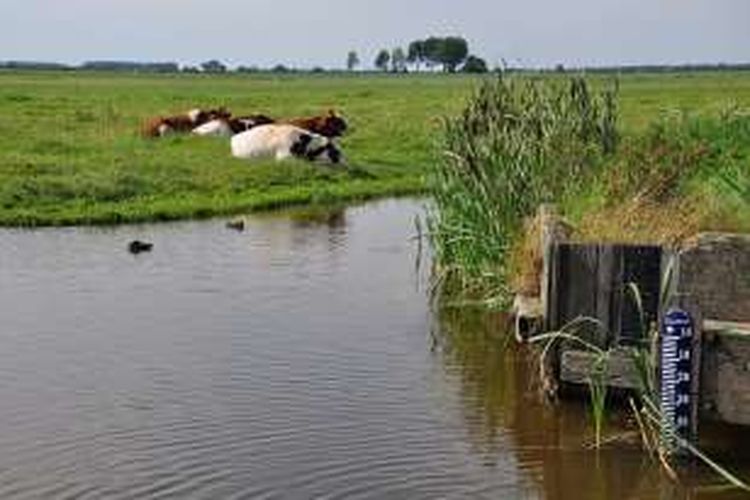 Sebuah polder di Belanda yang berada di ketinggian lima meter di bawah pemukaan laut. Belanda adalah negeri yang paling sering melakukan reklamasi lahan untuk menambah luas wilayahnya.