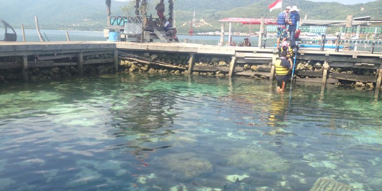 Pengunjung berswafoto bersama sekawanan ikan hiu di Karimunjawa, Jawa Tengah.