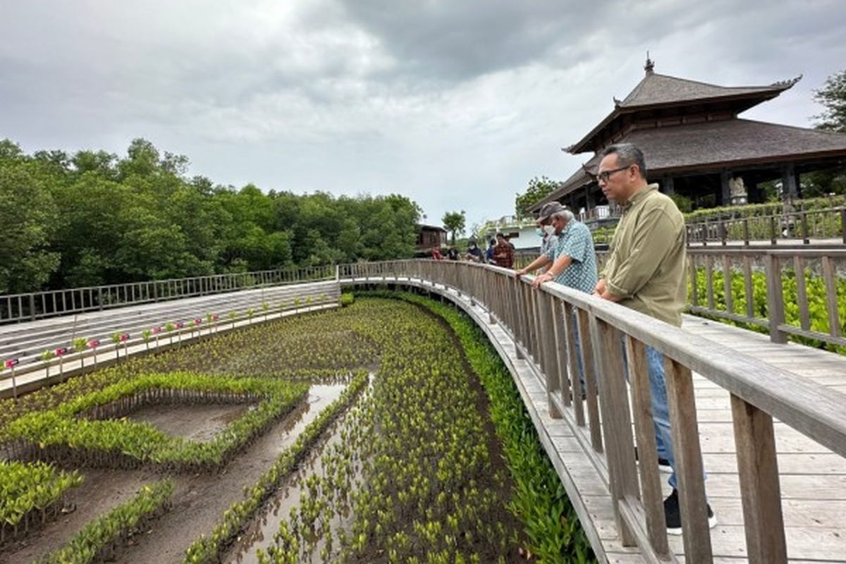 Memanfaatkan libur Minggu (15/1/2023), Menteri Pekerjaan Umum dan Perumahan Rakyat (PUPR) Basuki Hadimuljono bersama Ibu Kartika Basuki Hadimuljono meninjau kawasan Rehabilitasi dan Konservasi Hutan Mangrove Tahura Ngurah Rai, di Denpasar Bali.