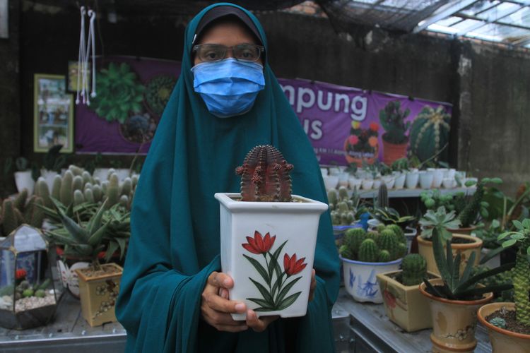 Fitri Dwi Juniarny (34) pemilik kampung Kaktus Palembang memperlihatkan tanaman hias jenis Gymno Korea miliknya. Tanaman hias kaktus mini tersebut, saat ini sedang diminati warga semenjak pandemi Covid-19.