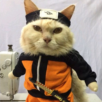 Seekor kucing menggunakan kostum kucing buatan Fredi Lugina.