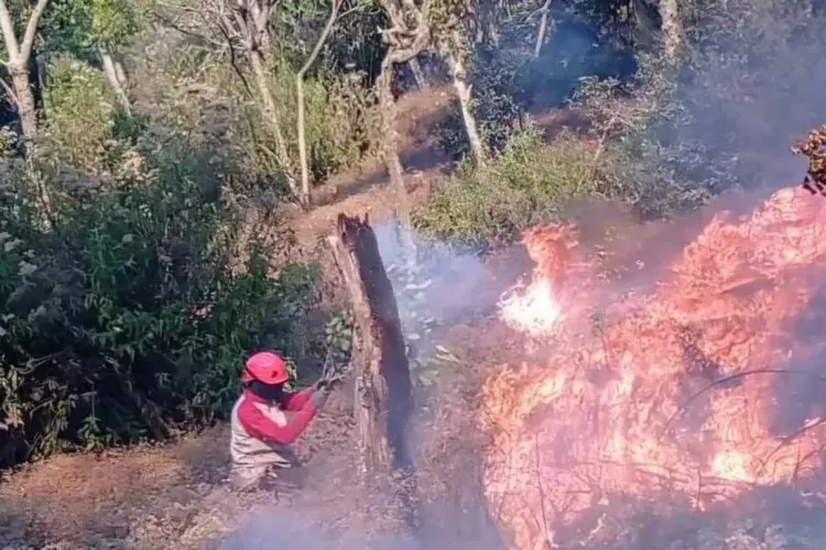 Kebakaran Gunung Buthak Mulai Mengarah ke Kawinajang