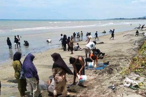 Warga Serbu Pantai Buhu Jaya Gorontalo Setelah Nelayan Temukan Butiran Emas