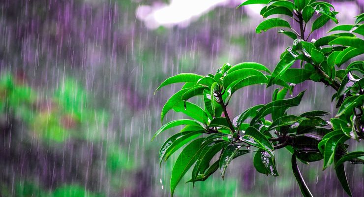 Hujan Lebat di Kaltim hingga 10 April, Potensi Banjir dan Longsor