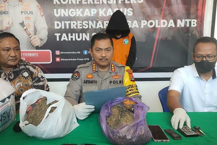Jumpa pers penangkapan IR (29) warga Desa Loyok, Kabupaten Lombok Timur, Nusa Tenggara Barat (NTB) ditangkap Ditresnarkoba Polda NTB karena kedapatan memiliki ganja seberat 1,7 kilogram.