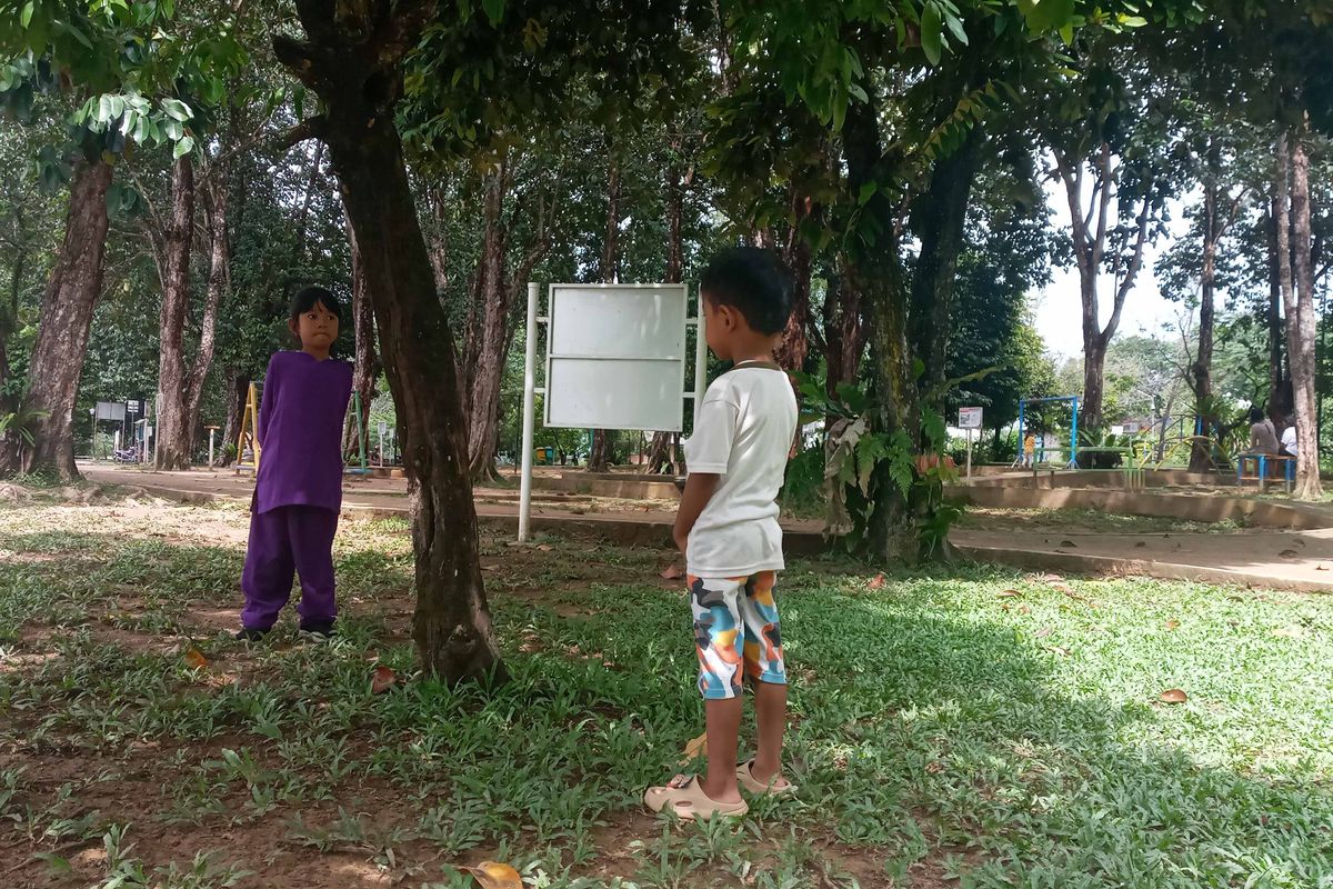 Pohon di Taman Bukit Baru Pangkalpinang, Kepulauan Bangka Belitung yang tumbuh rindang, Minggu (14/1/2024).