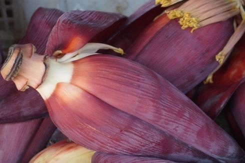 Cara Membuat POC dari Jantung Pisang dan Pengaplikasiannya