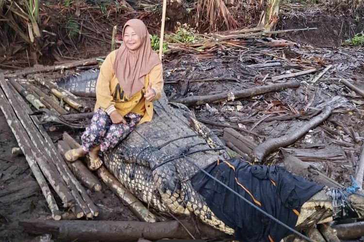 Meresahkan Warga, Buaya Sepanjang Lebih 2 Meter di Sambas Akhirnya Ditangkap