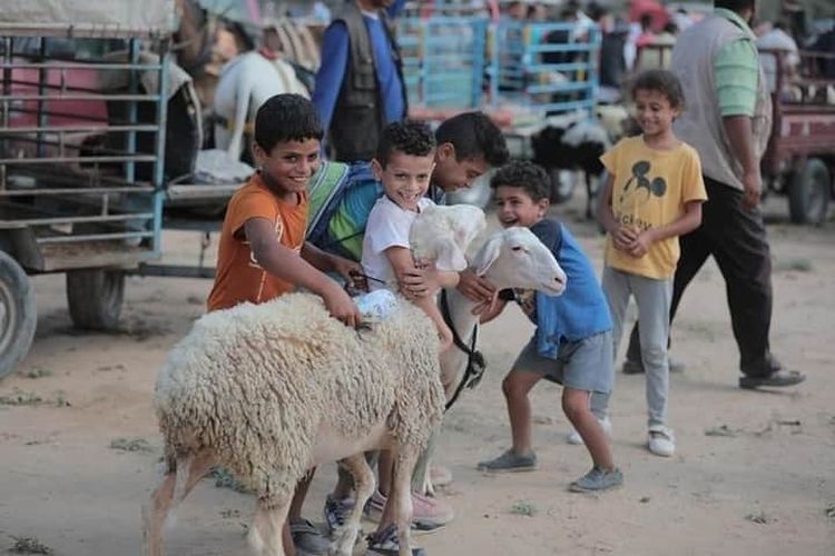 Anak-anak di Palestina menarik kambing di sebuah pasar di Palestina