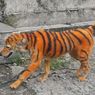 Foto Viral Anjing Dicat Mirip Harimau di Malaysia, Netizen: Wajahnya Sedih