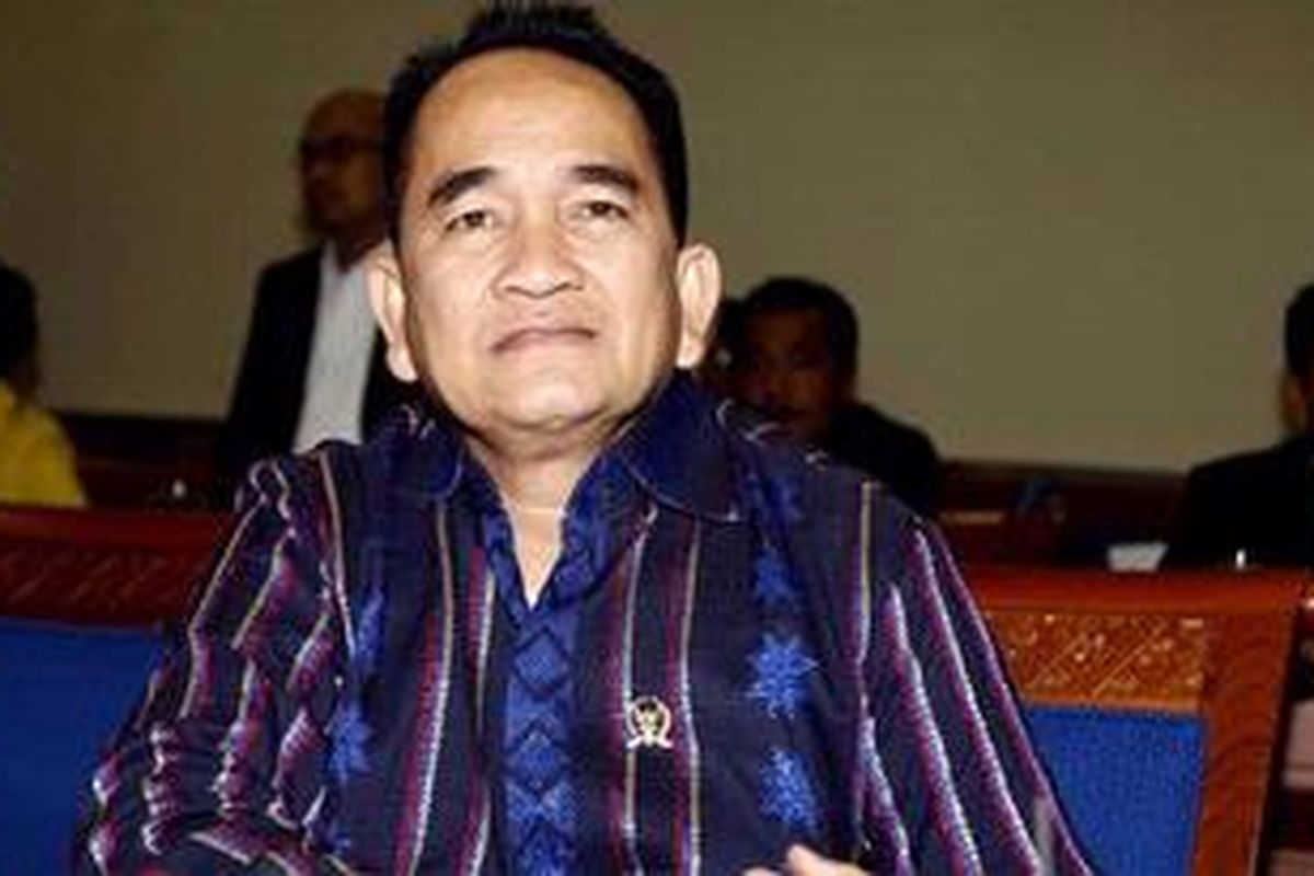 Anggota Fraksi Partai Demokrat, Ruhut Sitompul