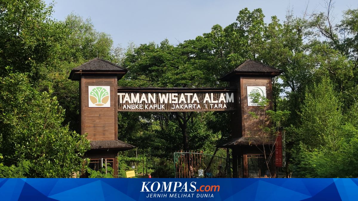 Jam Buka dan Harga Tiket Masuk Taman Wisata Alam Mangrove Angke Kapuk 2026