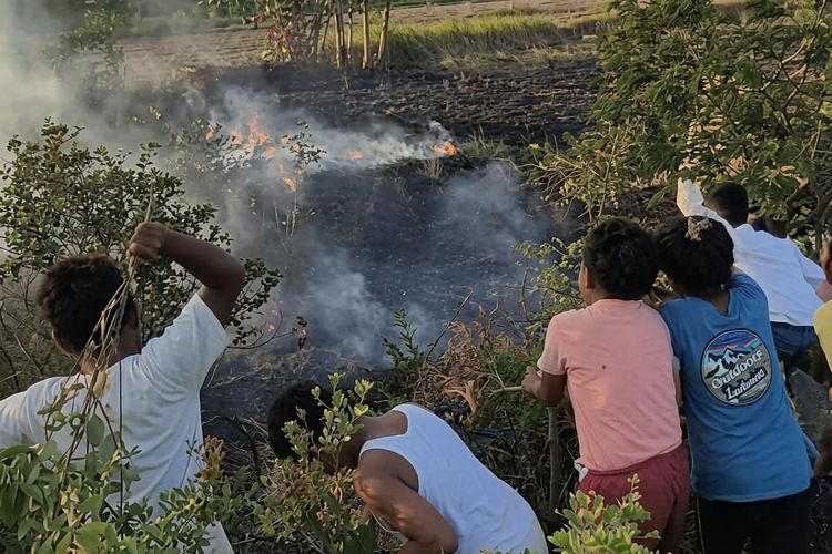 8 Kebakaran Bersamaan di Pamekasan, Anak-anak Ikut Padamkan Api karena Armada Damkar Kurang