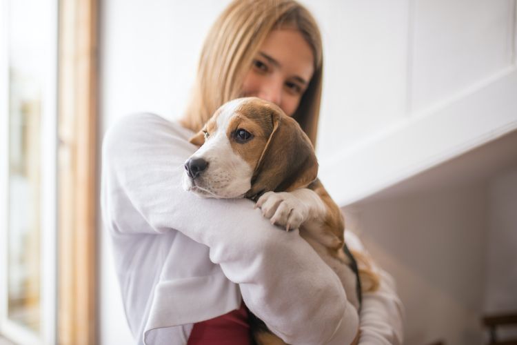 Memeluk bisa menjadi cara meredakan ketakutan dan kecemasan pada anjing peliharaan