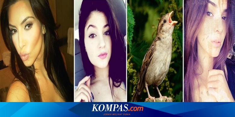 Usai Tren Wajah Bebek Terbitlah Tren Selfie Wajah Burung Pipit