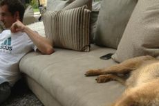 Andy Murray Selamatkan Teman Anjingnya
