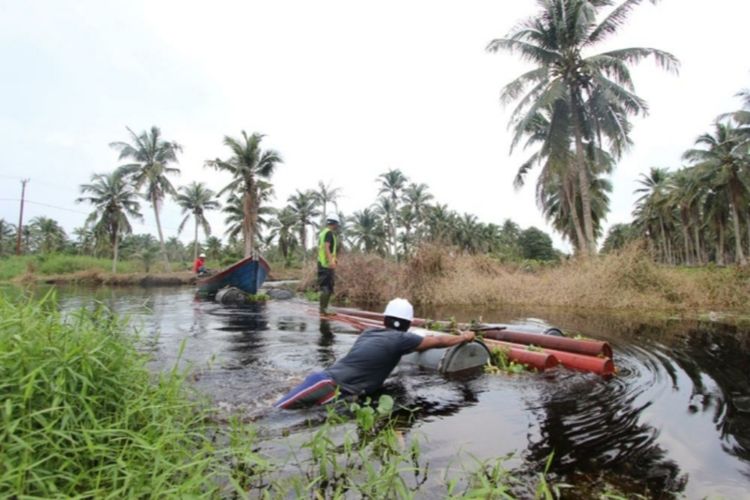 Petugaa PLN Riau-Kepri saat membawa material kelistrikan melewati sungai di wilayah Kabupaten Indragiri Hilir, Riau, beberapa waktu lalu.