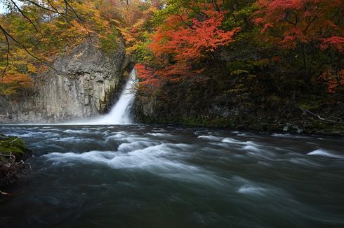 Liburan di Jepang, Wisatawan Indonesia Bisa Datang ke Sini