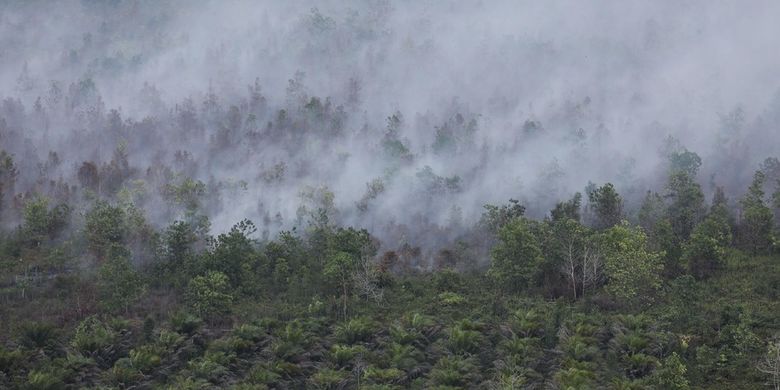 Kebakaran Lahan Gambut Akibat El Nino Bisa Terulang pada 2027