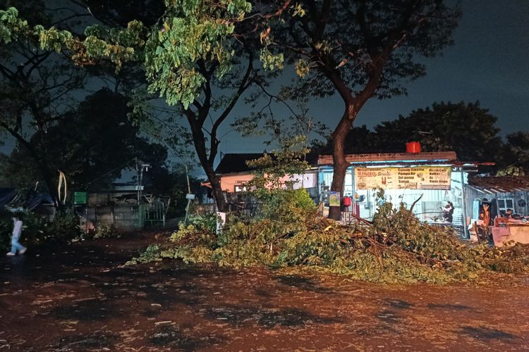 Cuaca Ekstrem Terjang Bekasi, Puluhan Pohon Tumbang di 5 Kecamatan