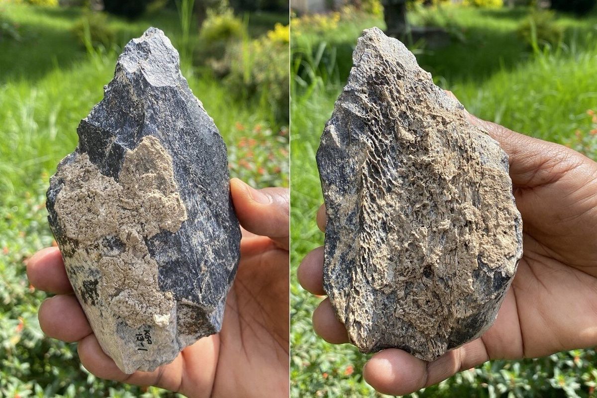 Penampakan kapak tangan buatan manusia purba, Homo erectus.