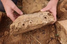 Fosil Langka Utuh Ditemukan di Australia, Seperti Apa?