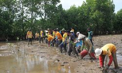 Peringati Hari Bumi, Kementerian KP Tanam 1.000 Mangrove di Kawasan Tambak Silvofishery Maros