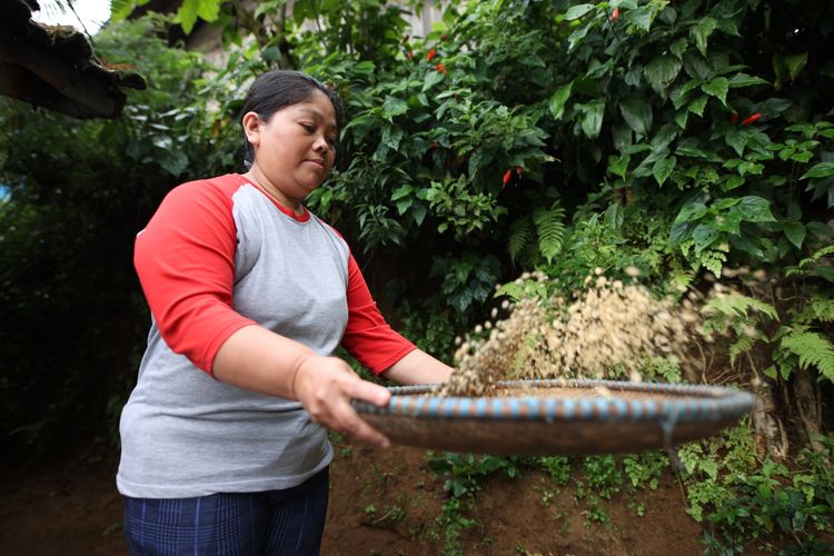 Tata Produksi: Salah satu masyarakat Desa Ibun, Jawa Barat, mengelola dan memanfaatkan sumber daya alam untuk menghasilkan komoditas kopi.