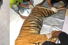 Demi Sebuah Lelucon, Bintang Home Alone Macaulay Culkin Ganti Nama