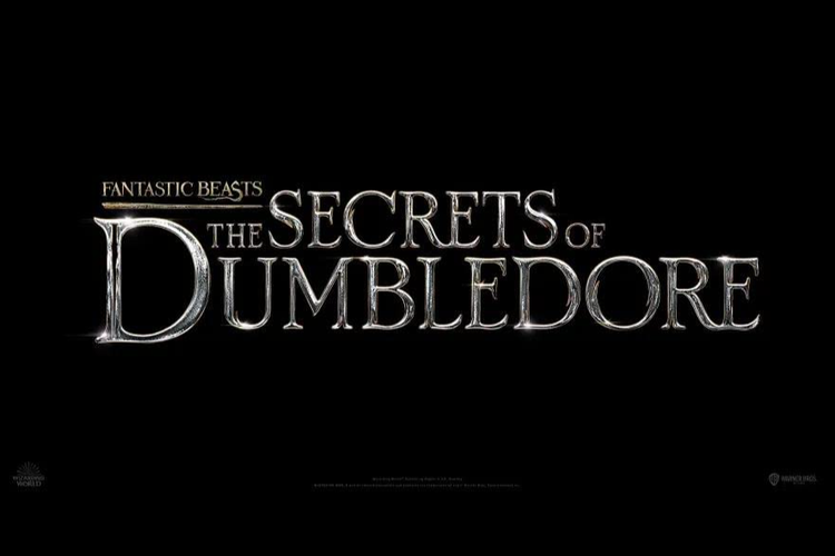 Fantastic Beasts: The Secrets of Dumbledore (2022)