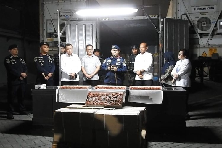KKP Segel 900 Ton Udang Impor Dua Perusahaan di Pasuruan 