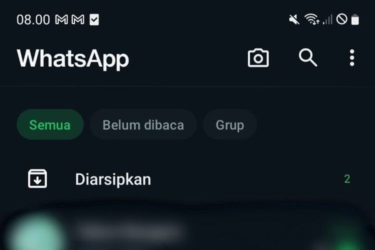Tampilan tab baru WhatsApp untuk menyortir pesan.