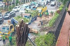 Aset Warisan Nganggur di Jepang Capai Rp 13,8 Triliun, Kini Masuk Kas Negara