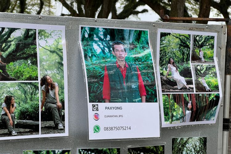 Jasa fotografi di De Djawatan Banyuwangi.