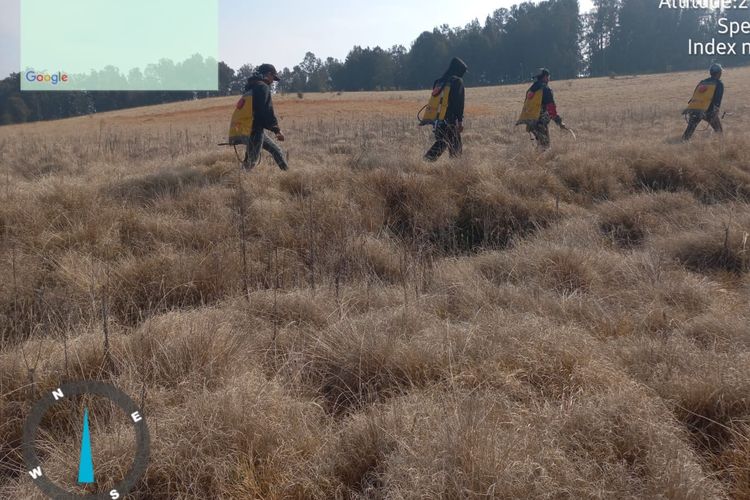 400 Hektar Kawasan Gunung Argopuro Terbakar, Api Masih Belum Padam