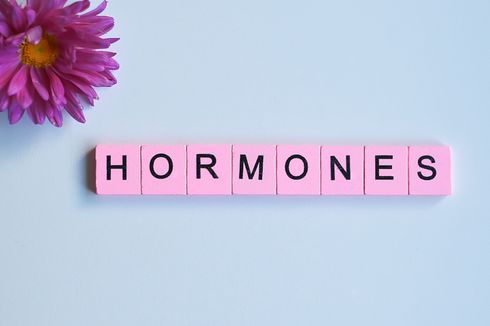 4 Makanan Penyebab Hormon Tidak Seimbang 